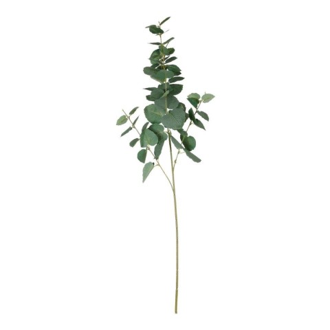 TRALCIO EUCALYPTO CM.98 VERDE